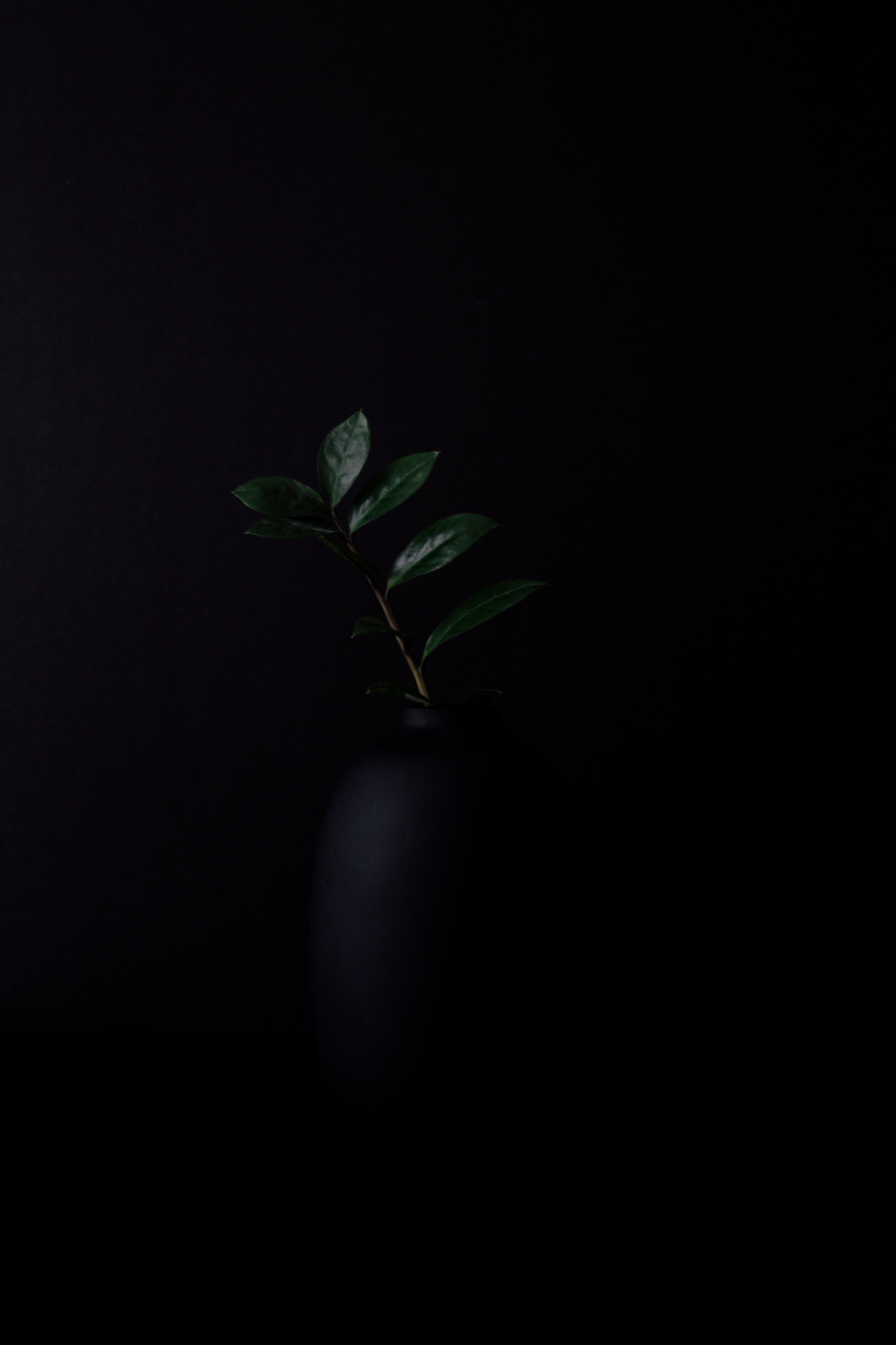 background-image