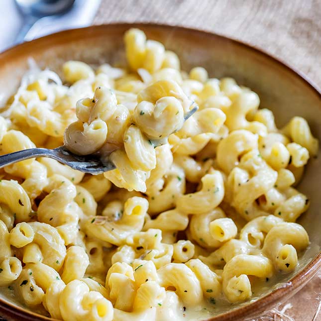 Creamy Four Cheese Pasta